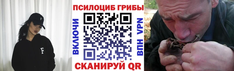 Псилоцибиновые грибы Psilocybine cubensis  Нестеров 